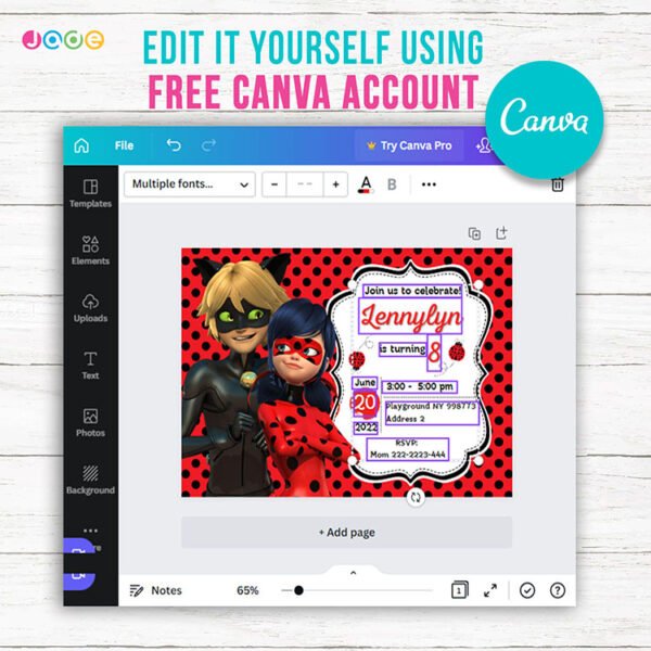 Digital Lady Bug Birthday Invitation Instant Download